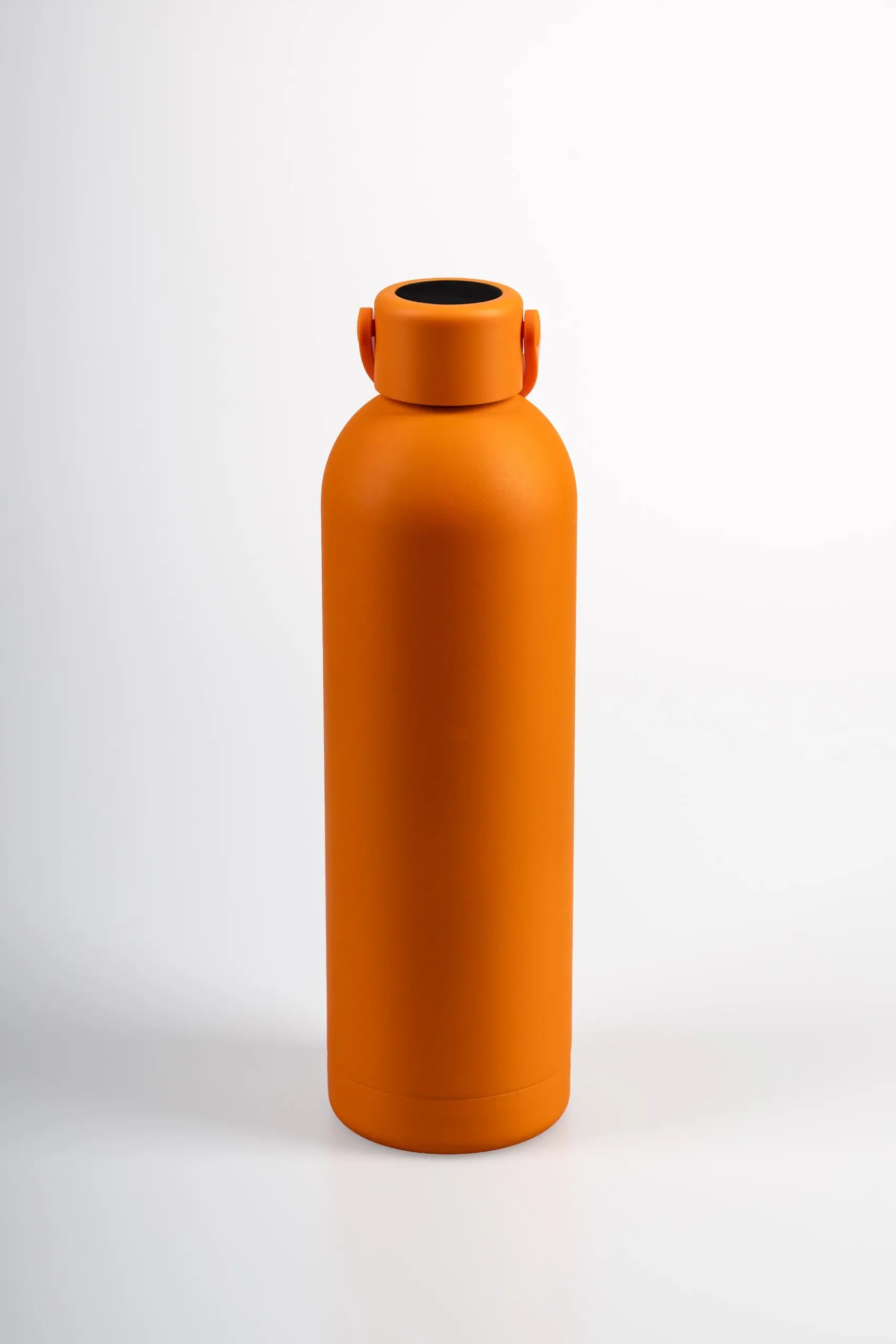 Drinkwell Phoenix Gourde — 750 ml