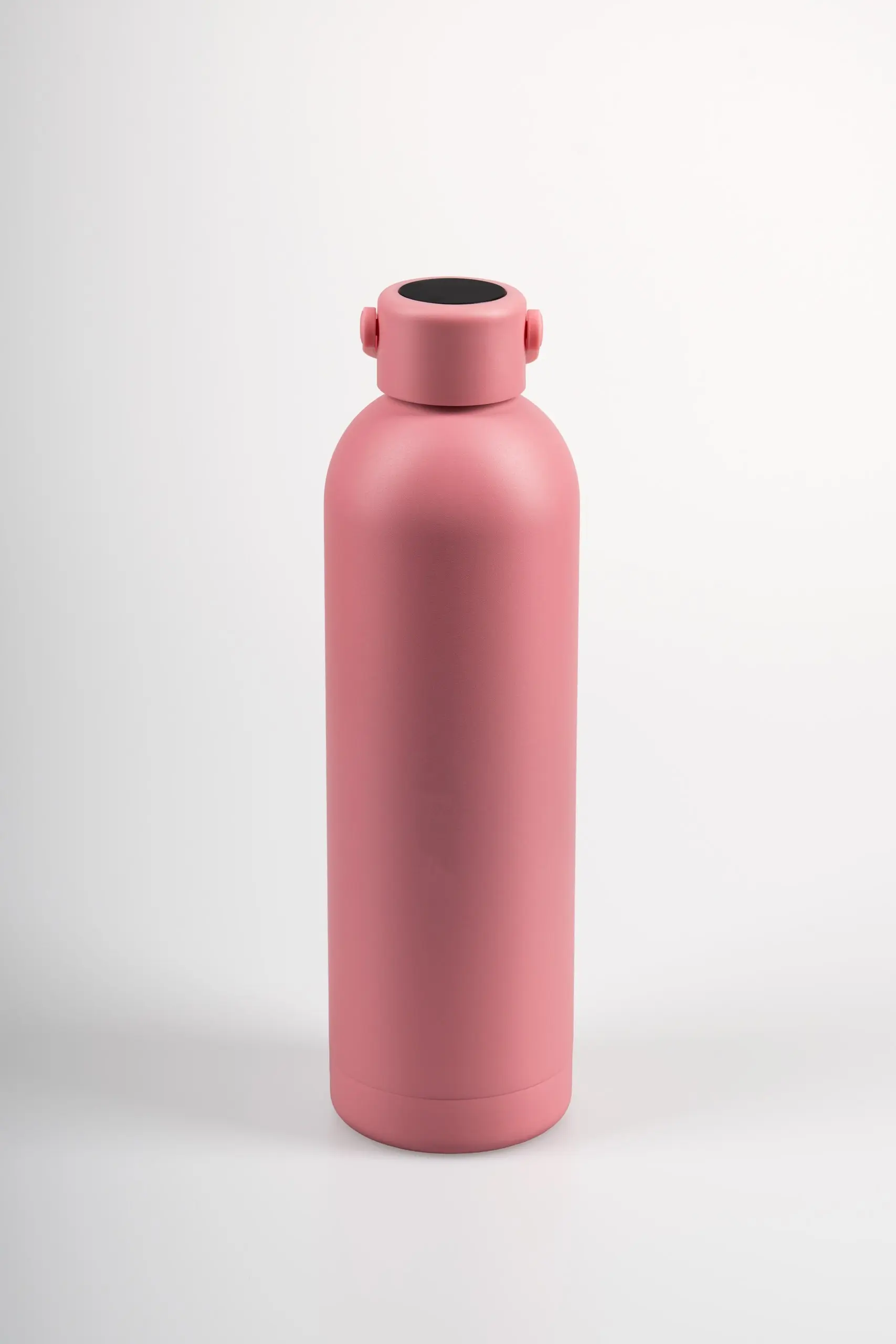 Drinkwell Phoenix Gourde — 750 ml