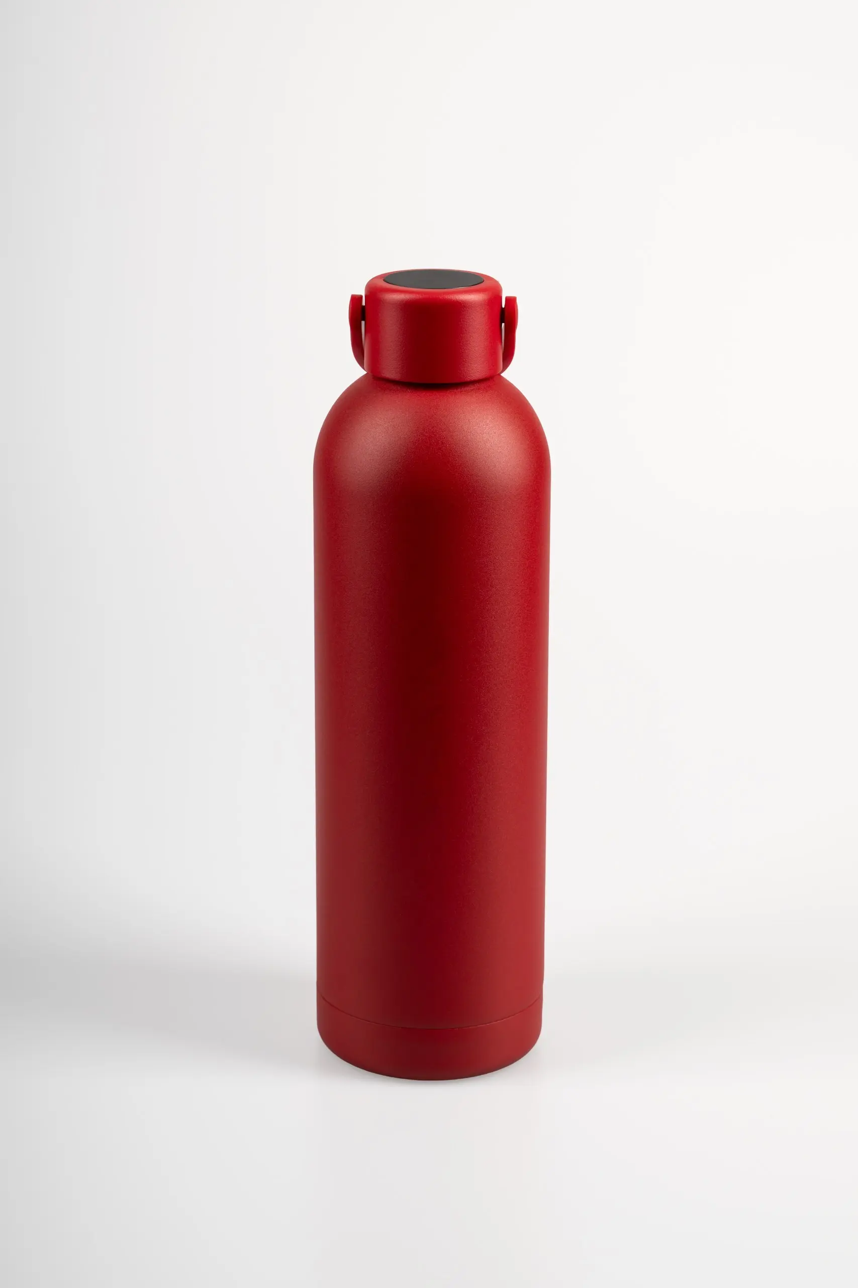 Drinkwell Phoenix Gourde — 750 ml