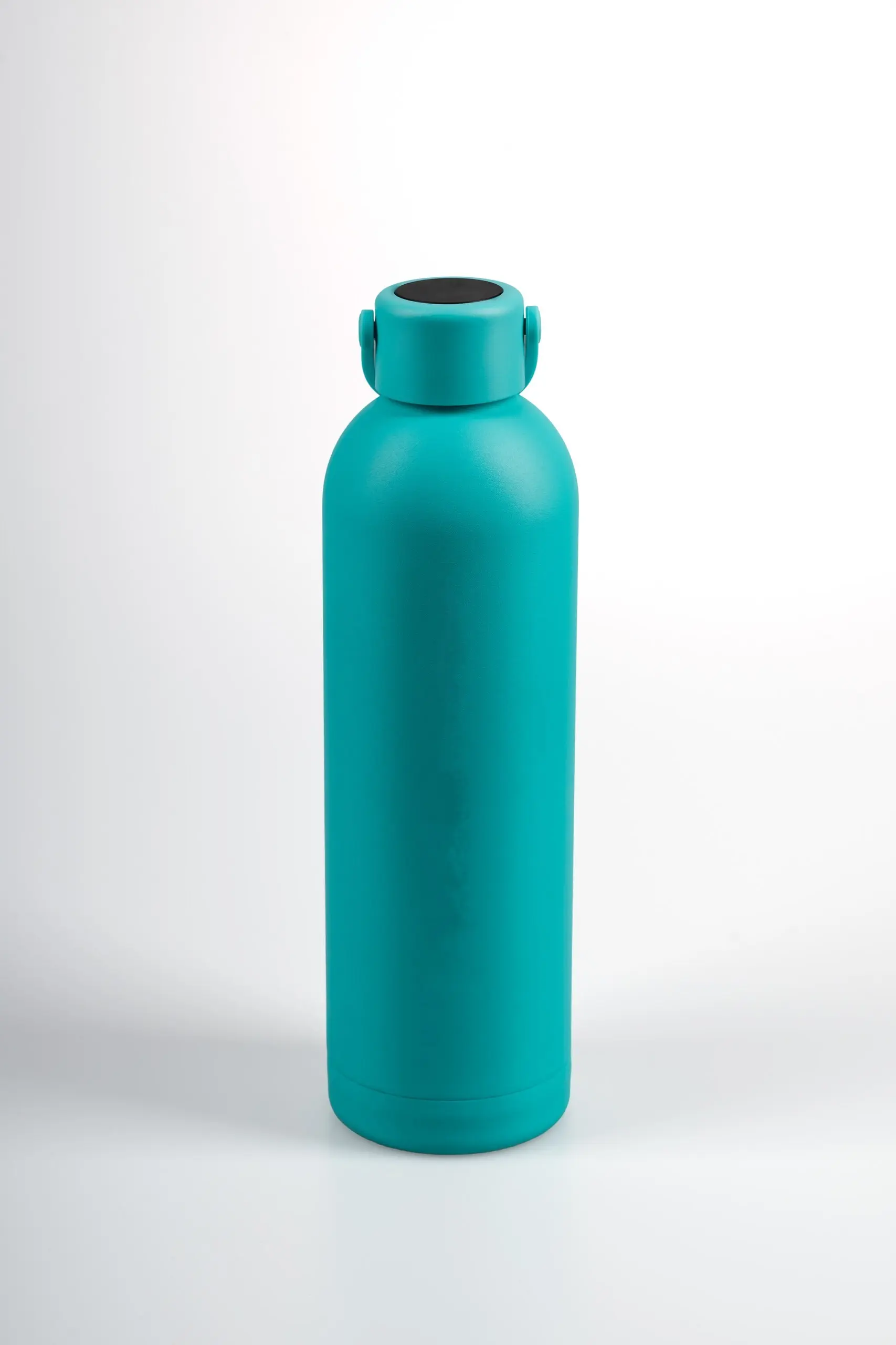 Drinkwell Phoenix Gourde — 750 ml