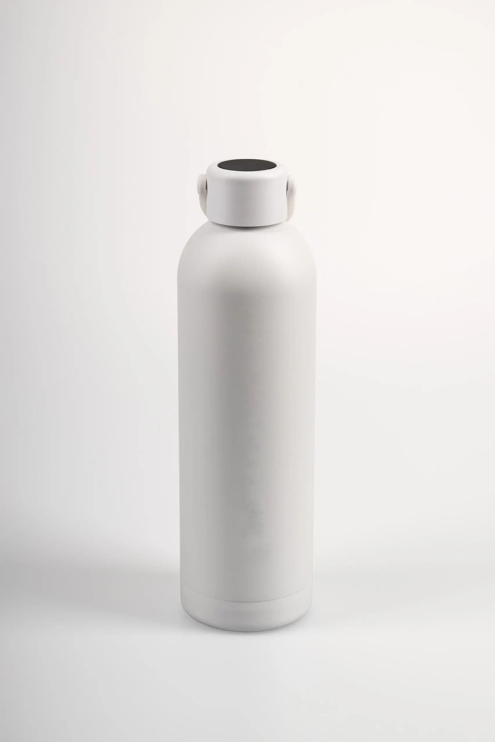 Drinkwell Phoenix Gourde — 750 ml